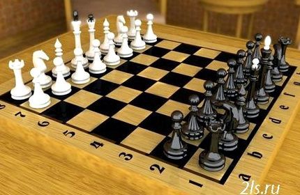 Игра в шахматы с живыми игроками