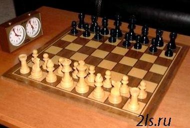 Играть в шахматы с живыми людьми