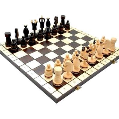 Шахматы на 2 игрока играть